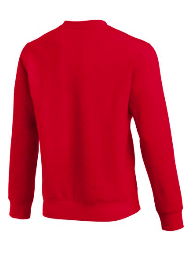 *REQUIRED* Wildcats Sports Medicine Crewneck Sweater (Unisex)