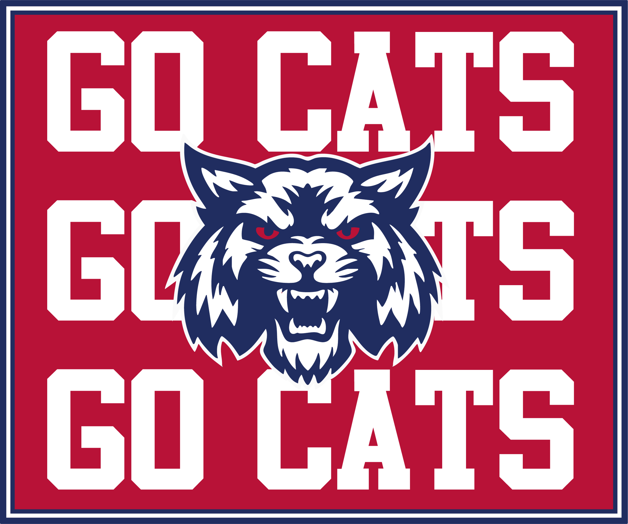 GO CATS Plush Throw Blanket