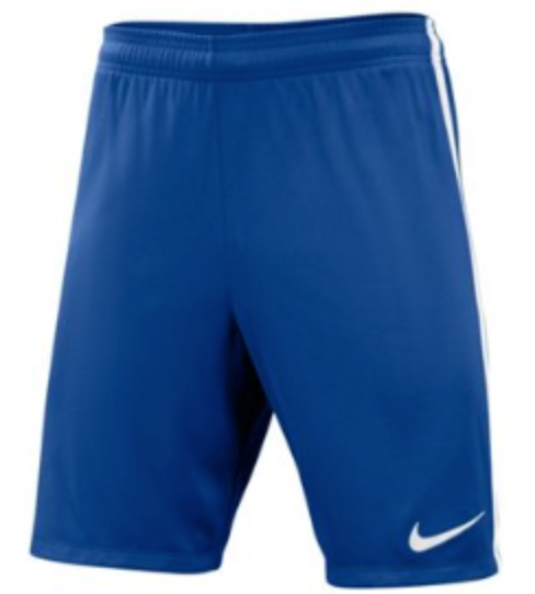 nike men's dry hertha shorts